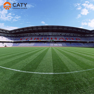Échantillon gratuit de granulés de caoutchouc EPDM anti-UV pour le remplissage du gazon artificiel sur le terrain de football