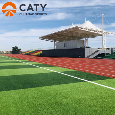 Eco-Friendly and Premium ETPR Rubber Granules Perfect for Football, Rugby, and Sports Turf Infill
